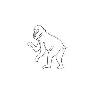 Quick Mandrill Drawing in One Line for Animal Sketching Practice