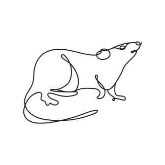 Rat "One Line Rat Drawing: A Minimalist Approach to Recognizable Wildlife Shapes"
