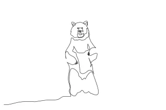 Bear Simple Bear Drawing: One Line Art for Nature and Animal Practice