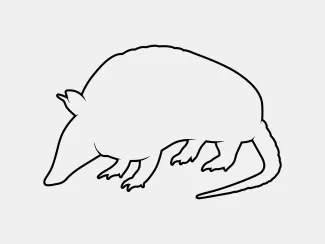 Armadillo One Line Armadillo Drawing for Fun and Simple Wildlife Art Practice