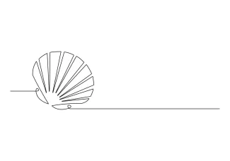 Open oyster shell seashell Draw an Open Oyster Shell in One Line to Understand Layered Natural Forms