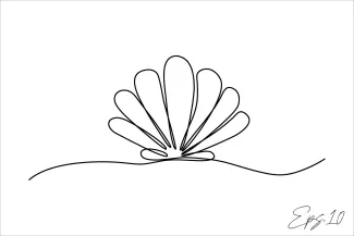 Seashell Simple Seashell One-Line Drawing to Explore Symmetry and Shape Memory