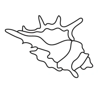 One-Line Seashell Drawing to Build Confidence in Repetitive Curves