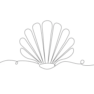 One-Line Seashell Drawing to Practice Curved Repetition and Rhythm