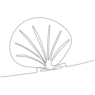Seashell scallop One-Line Scallop Shell Drawing for Practicing Repeating Patterns