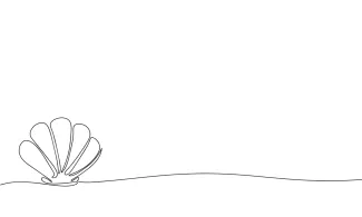 One-Line Shell Drawing for Simple Nature-Inspired Art Projects