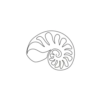 Sea Snail Shell in One Line: A Simple Drawing to Practice Spiral Forms