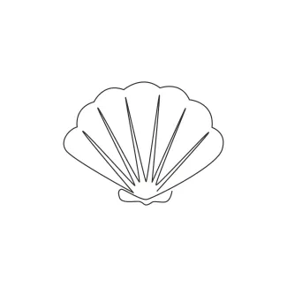 Beauty scallop Draw a Beauty Scallop in One Line: Practice Fan Shapes in Simple Marine Drawing