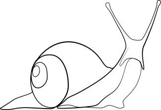 Snail One-Line Drawing of a Snail: Build Observation and Control with a Common Animal