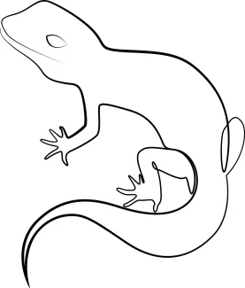 Exotic chameleon One-Line Chameleon Drawing: Explore Reptile Shapes with Simple Lines
