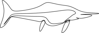 Easy One Line Ichthyosaur Drawing for Marine Reptile Enthusiasts