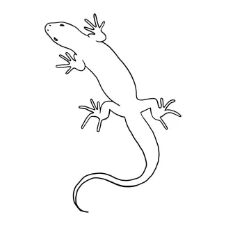 Lizard reptile Simple One Line Lizard Drawing for Quick Reptile Sketches
