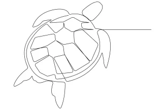 Sea turtle Draw a Sea Turtle with One Line: Simple Ocean Animal for Beginners