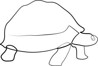 Exotic pet turtle One Line Turtle Pet Drawing: Learn to Sketch Simple Shell Shapes with Confidence