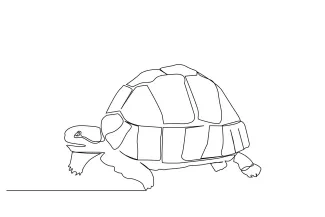 Turtle animal walking One Line Turtle Drawing in Motion: Easy Steps to Sketching a Walking Reptile