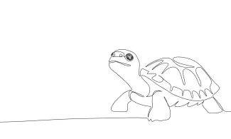 Turtle tortoise One Line Tortoise Drawing: Learn to Sketch Slow Animals with Simple Shapes