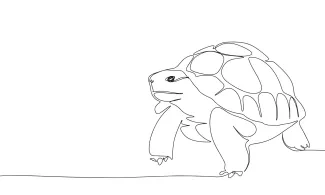 Turtle / tortoise One Line Tortoise Drawing: Learn Simple Techniques Using Slow-Living Animals